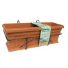 Coltivazione E Cura-Bama Set fioriera da balcone "iris" terracotta 50 cm