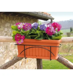 Coltivazione E Cura-Bama Set fioriera da balcone "iris" terracotta 50 cm