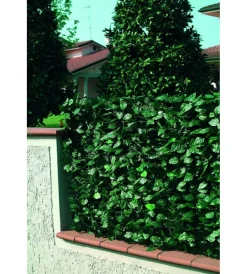 Reti, Recizioni E Cancelli Per Giardino- Siepe artificiale essenza in pvc con foglie lauro 2000x100 cm