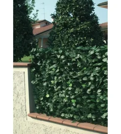 Best Siepe artificiale essenza in pvc con foglie lauro 300x100 cm Reti, Recizioni E Cancelli Per Giardino