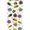 Decorazione Pareti|Stickers creative s colourful fisches - decoro crearreda.