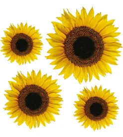 Decorazione Pareti|Stickers m girasoli - decoro crearreda.