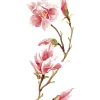 Decorazione Pareti|Stickers s magnolia - decoro crearreda.