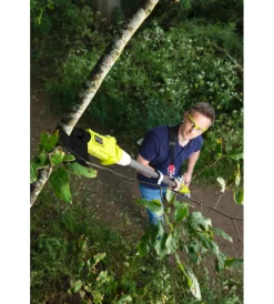 Ryobi Potatori|Svettatoio telescopico a batteria 