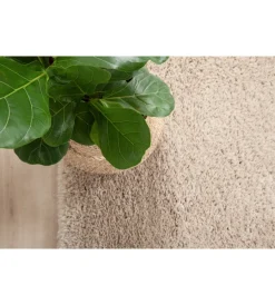 Online Tappeto "bold" beige, 160x230 cm Tessile D'Arredo