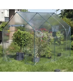 Best Telo di ricambio per serra narciso in plastica trasparente 185x240x205 cm Coltivazione E Cura