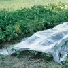 Attrezzatura Giardinaggio-Verdemax Telo forzatura trasparente 2x10m