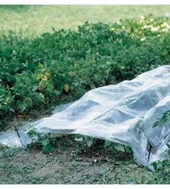 Attrezzatura Giardinaggio-Verdemax Telo forzatura trasparente 2x10m