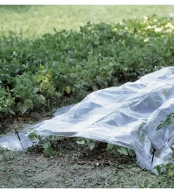 Telo forzatura trasparente 2x5m Attrezzatura Giardinaggio