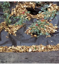 Verdemax Attrezzatura Giardinaggio|Telo pacciamatura tnt nero 0.8x5m