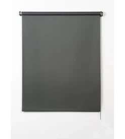 Best Tenda a rullo roll-up oscurante grigio grafito, 80x180 cm Tessile D'Arredo