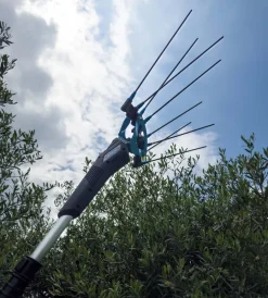 Campagnola Abbacchiatori|Testa abbacchiatore olive elettrico a batteria 