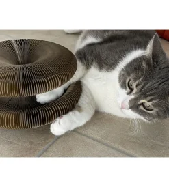 Giochi- Tiragraffi per gatti "gatto matto"  con pallina sonora