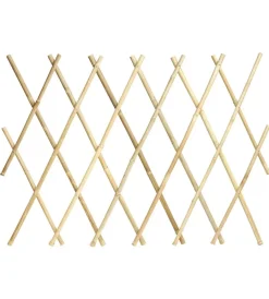 Discount Traliccio esterno bamboo 1.8x1.20 naturale Coltivazione E Cura