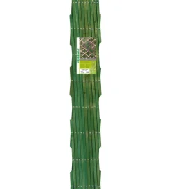 Verdemax Coltivazione E Cura|Traliccio esterno legno 2x1 verde