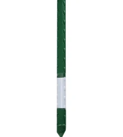 Coltivazione E Cura-Verdemax Tutore acciaio plastificato h210cm