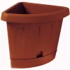 Bama Coltivazione E Cura|Vaso angolo victoria terracotta