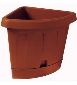 Bama Coltivazione E Cura|Vaso angolo victoria terracotta