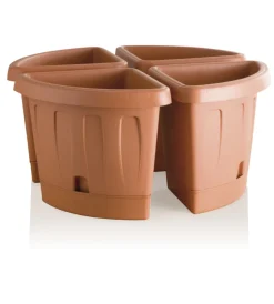 Bama Coltivazione E Cura|Vaso angolo victoria terracotta