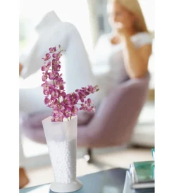 New Vaso living trasparente Coltivazione E Cura