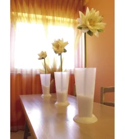 New Vaso living trasparente Coltivazione E Cura