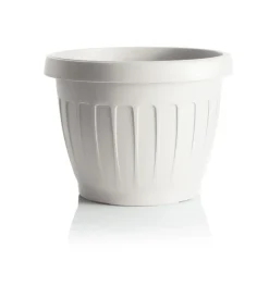 Bama Coltivazione E Cura|Vaso terra d. 35 bianco
