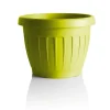 Coltivazione E Cura-Bama Vaso terra d. 30 senape
