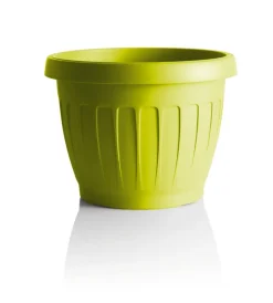 Coltivazione E Cura-Bama Vaso terra d. 30 senape