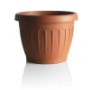 Bama Coltivazione E Cura|Vaso terra d. 20 terracotta