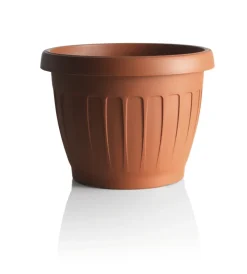 Bama Coltivazione E Cura|Vaso terra d. 20 terracotta