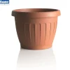 Bama Coltivazione E Cura|Vaso terra d. 60 terracotta