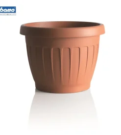 Vaso terra d. 30 terracotta Coltivazione E Cura