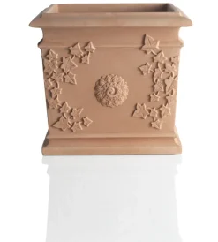 New Vaso vite cm 44x44 Coltivazione E Cura
