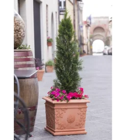 New Vaso vite cm 44x44 Coltivazione E Cura