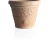Clearance Vaso vite d. 30 Coltivazione E Cura