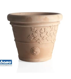 Coltivazione E Cura-Bama Vaso vite d. 40
